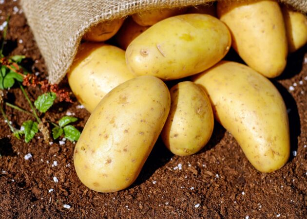 UAE wholesale potato market