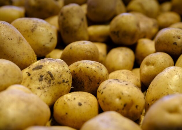 bulk potato supplier UAE